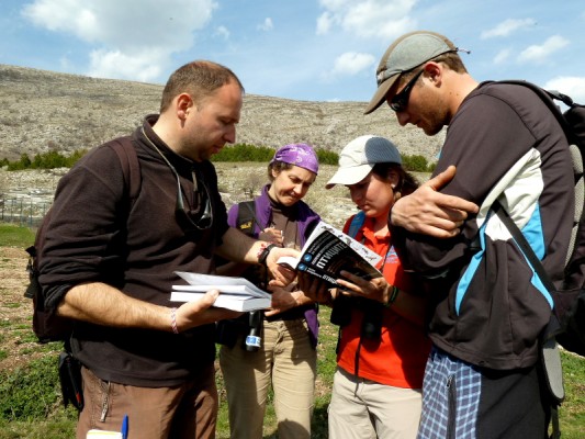 The Bird ID field training course for 2014 started in Bulgaria